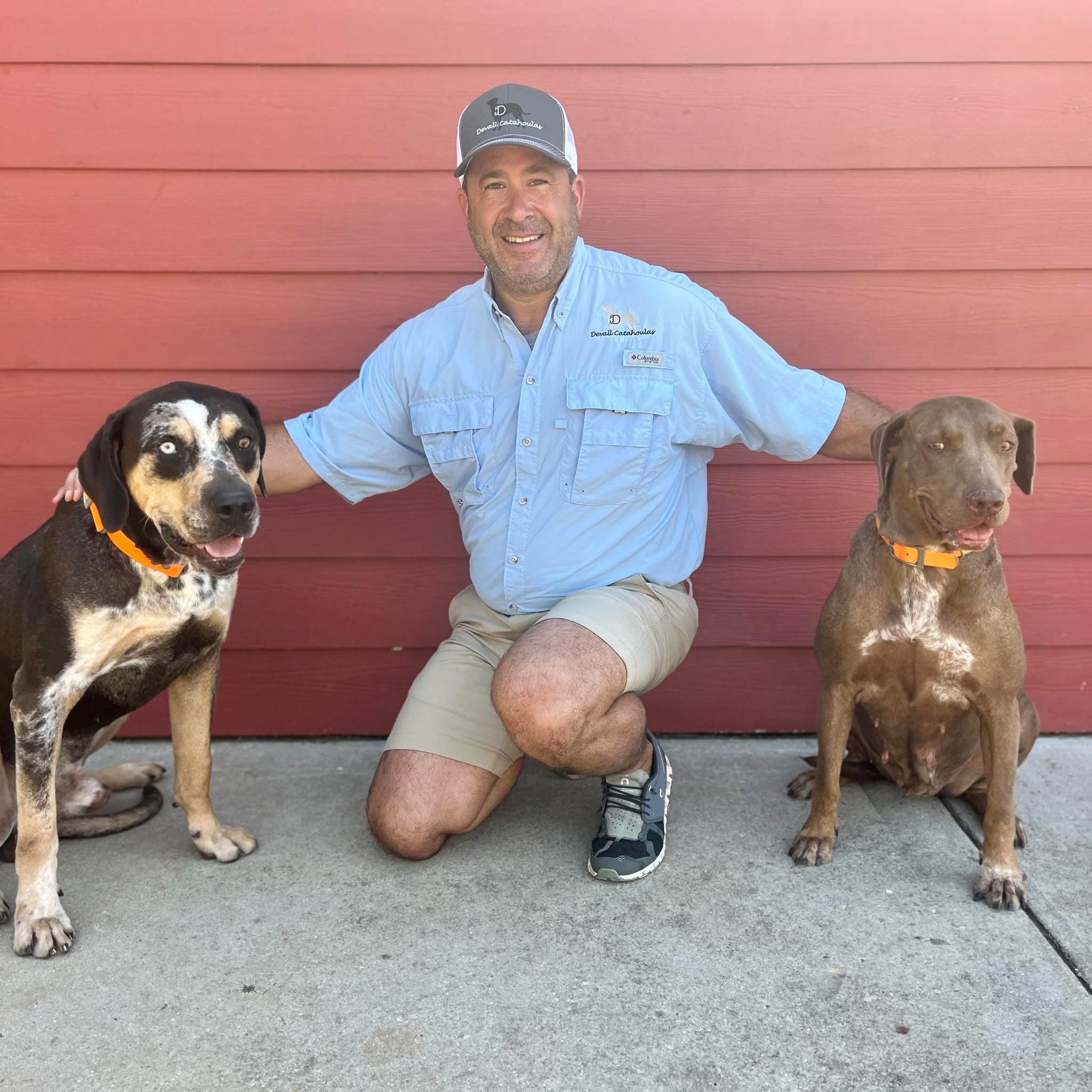 Creating a Loving Home Environment for Your Catahoula Leopard Dog: Living in Harmony