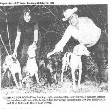 Vintage black-and-white newspaper photo from October 15, 1974, showing Kline Rushing and his daughter Betty Eaves of Denham Springs, Louisiana, standing outdoors with four Catahoula Leopard Dogs on leashes, preparing to enter them in the Cow Dog Trials at Belmeade Ranch near Terrell