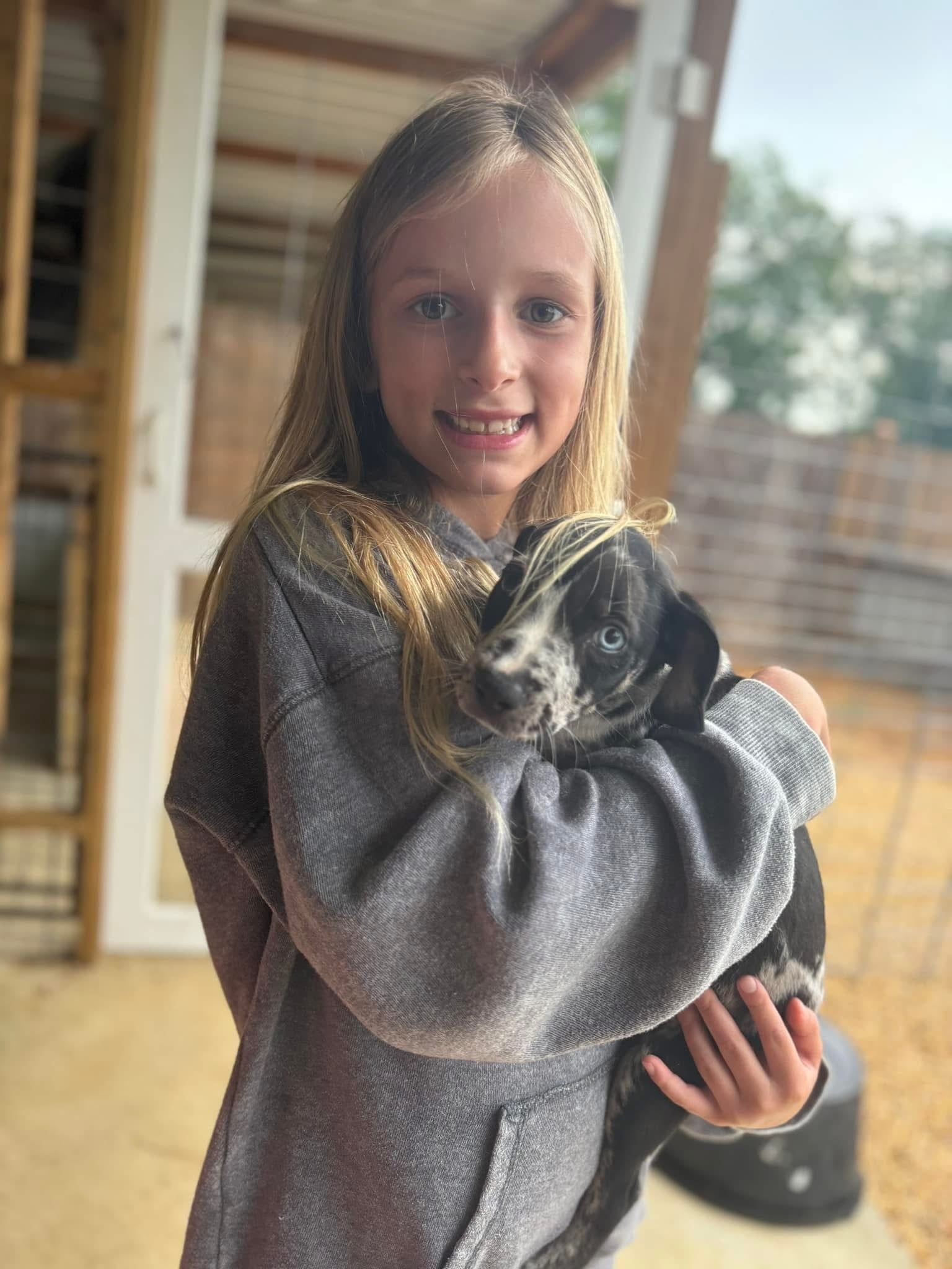 Smiling young girl holding a Catahoula Leopard Dog puppy, reflecting family values and loving home environment for raising puppies